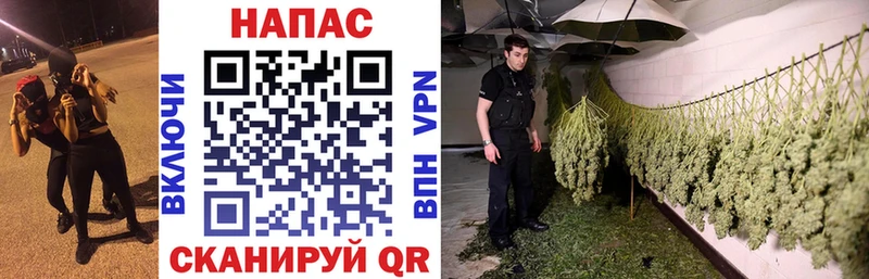 Цена Елец A-PVP  Cocaine  Меф  Марихуана  Гашиш 
