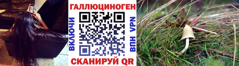 Галлюциногенные грибы Cubensis  Елец 