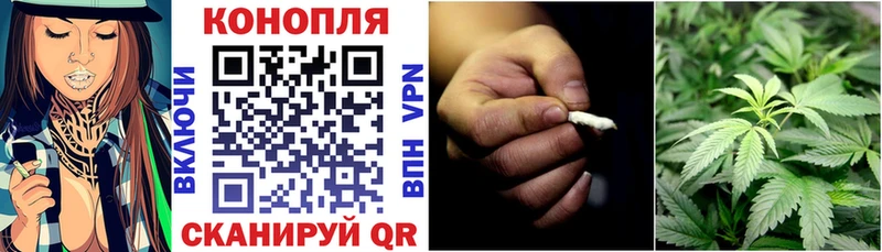 где найти   Елец  Канабис ГИДРОПОН 